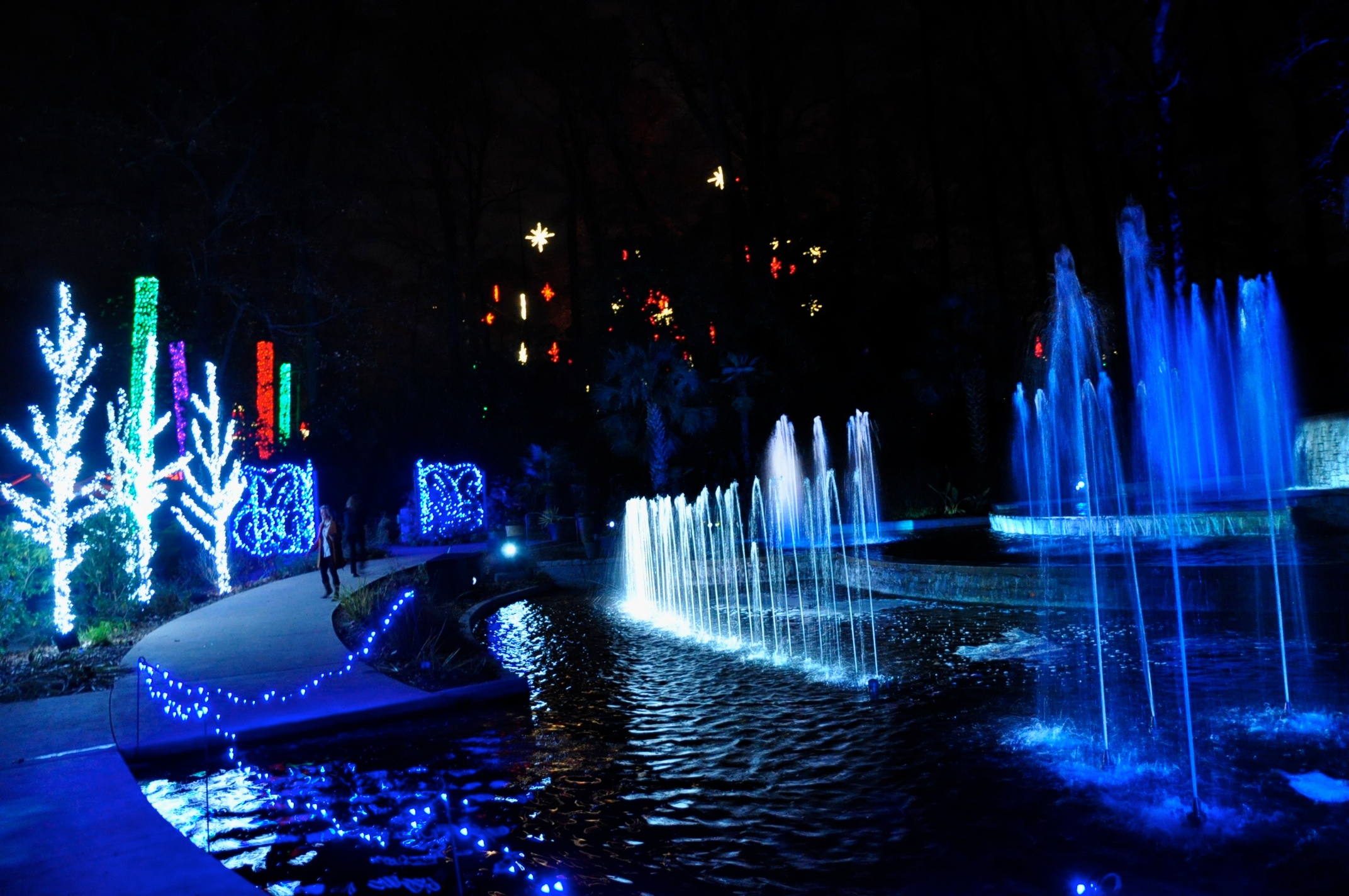 Botanical Garden “Garden Lights Holiday Night”Atlanta, GA The Memory