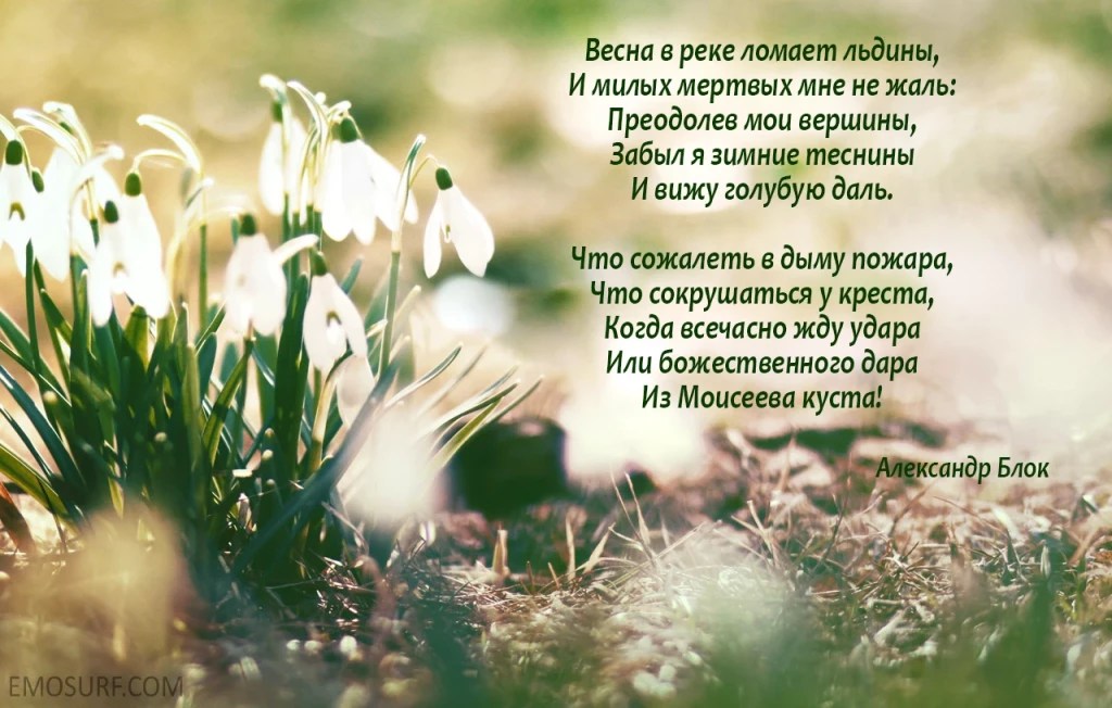 Красивые стихи о весне