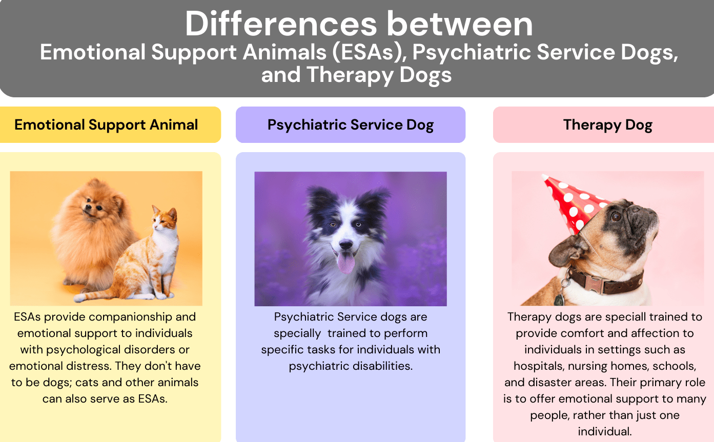 Therapy Dogs vs. ESAs Emotional Support Animals of Texas