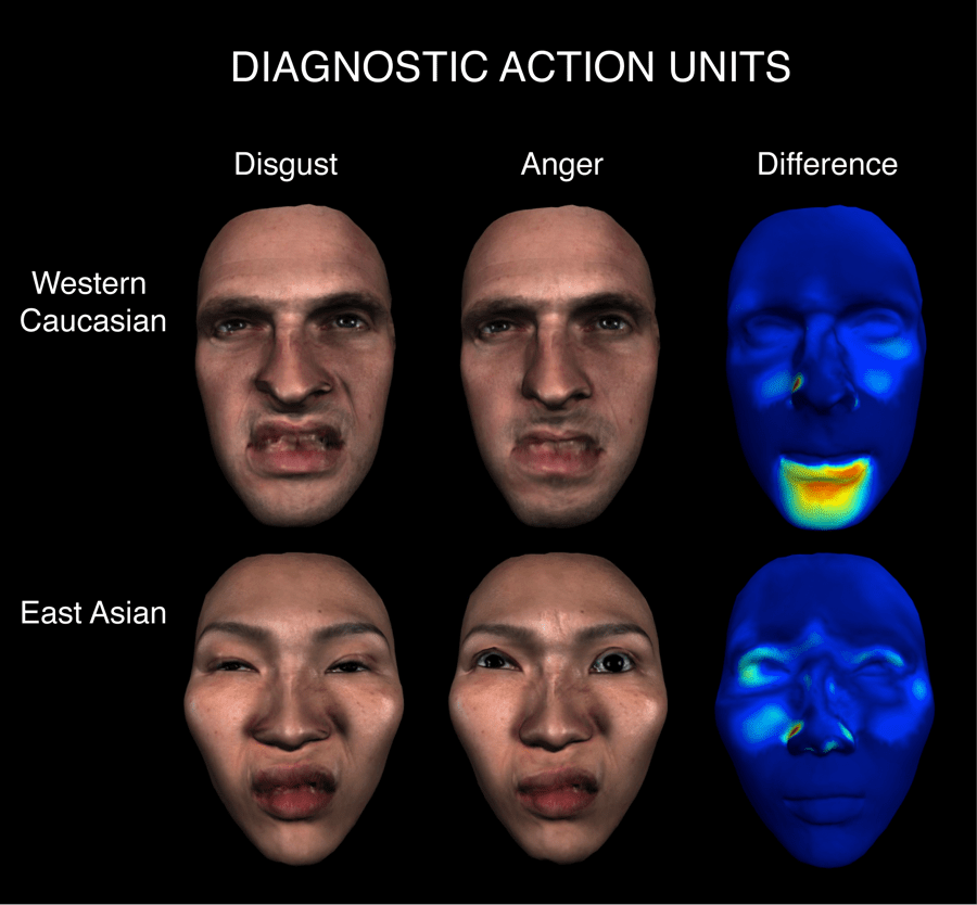 Understanding the Face as a Dynamic Communication Tool Emotion Researcher