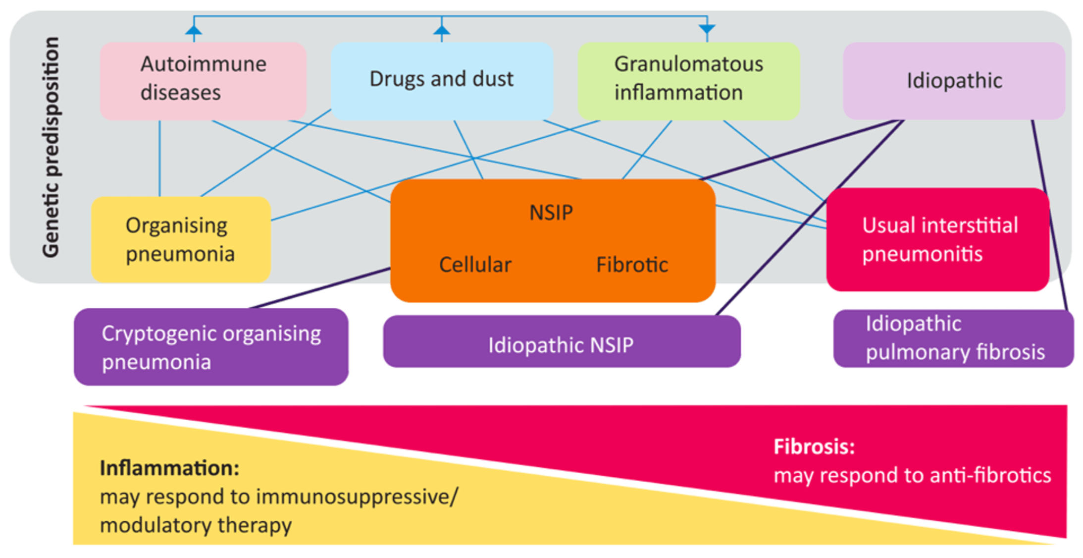 Interstitial Lung Disease in the ED “I think I’ve got the