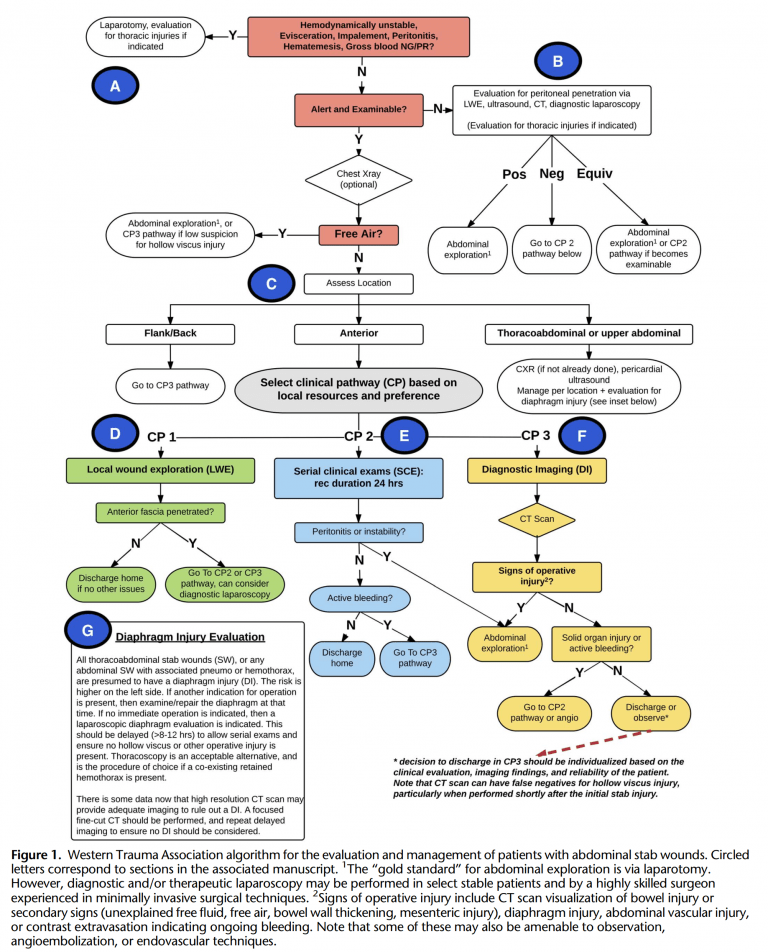 Abdominal Stab Wounds A Decision Algorithm EMOttawa Blog