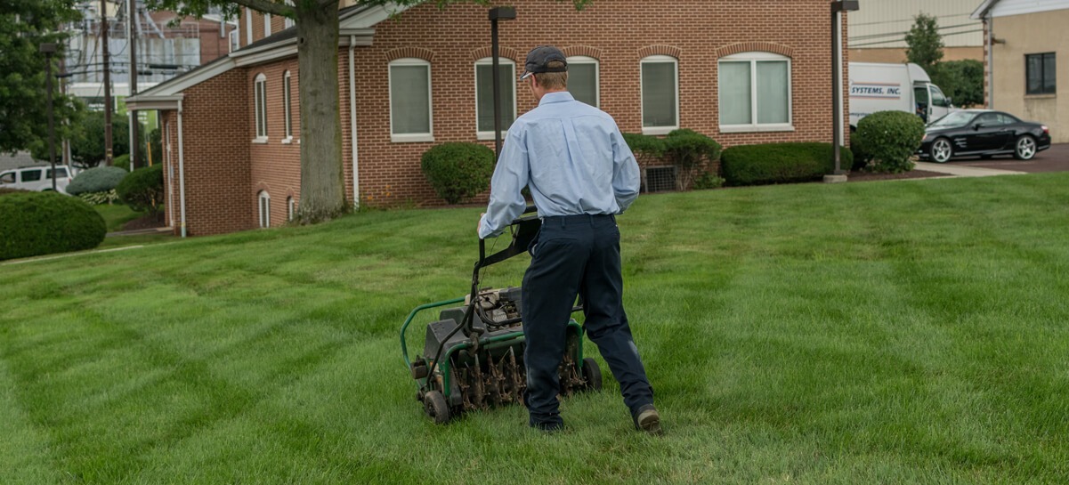 Lawn Aeration Service Near Me Professional Aerators