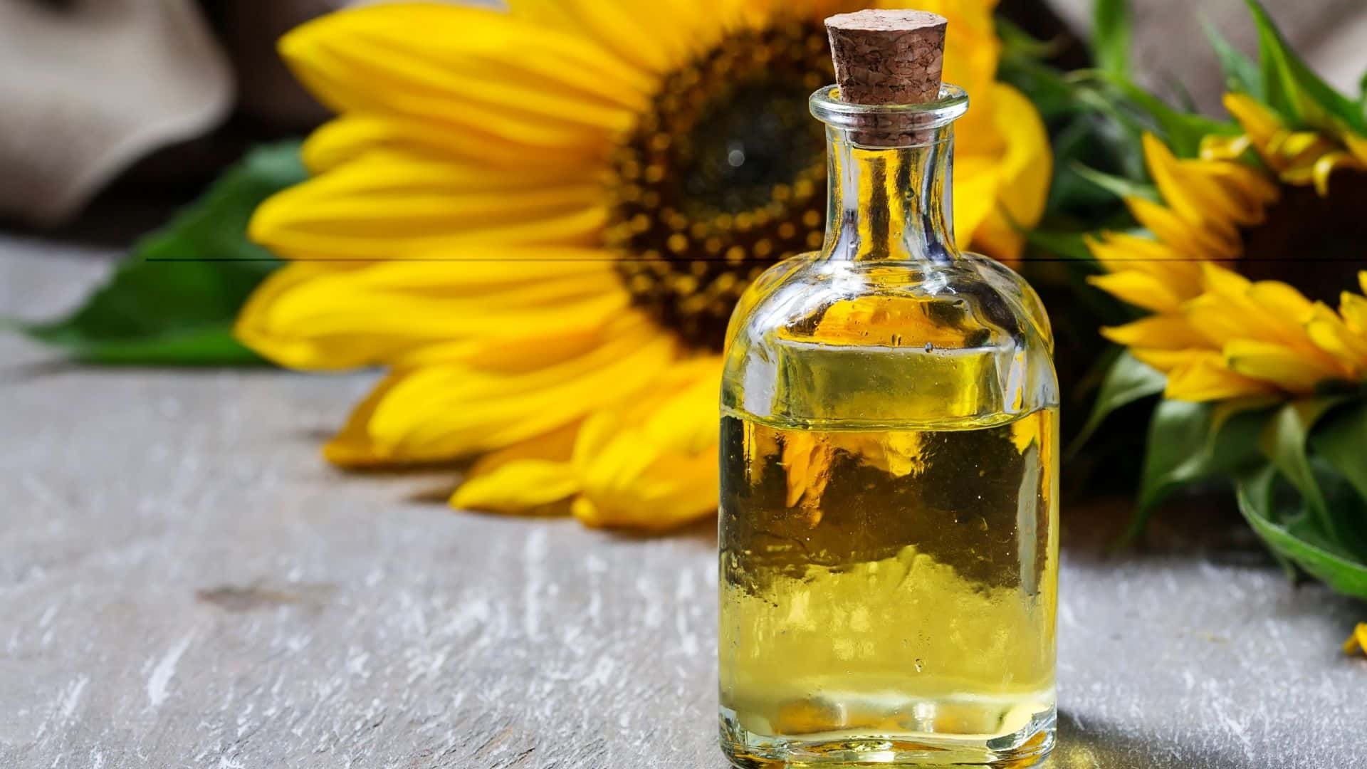 Sunflower Oil for Hair Growth Benefits + How to Use Guide