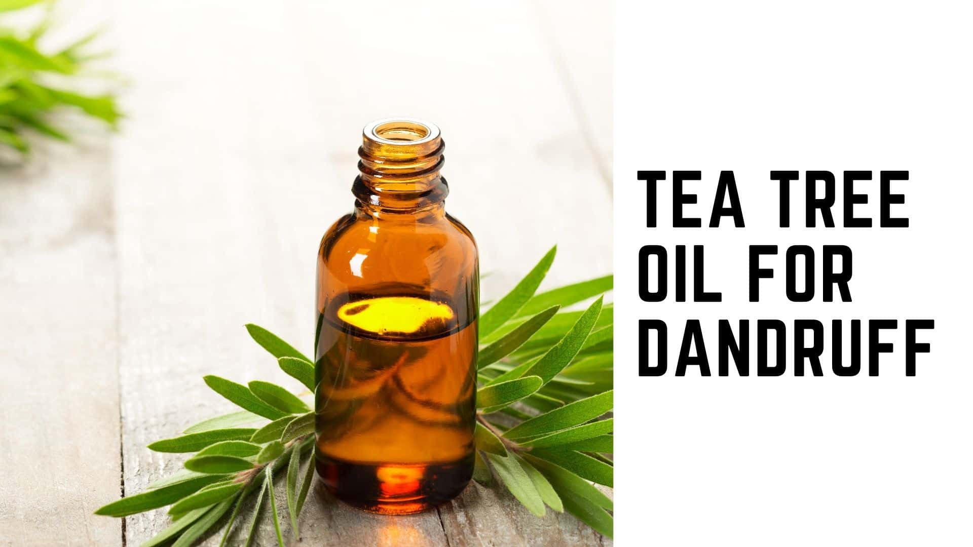 Top 10 Best Anti Dandruff Hair Oils to Remove Dandruff
