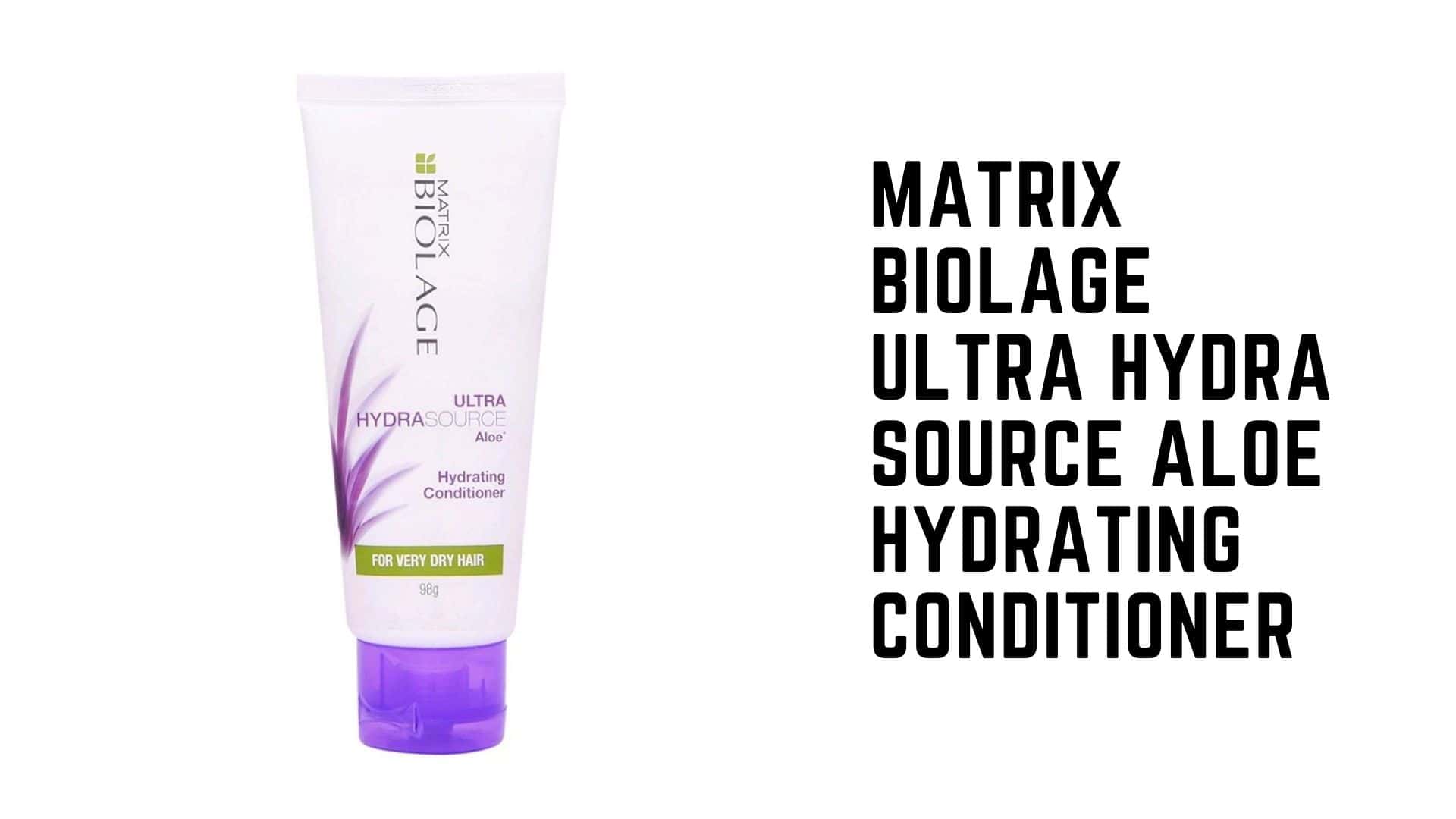 12 Best Conditioners for Dry and Frizzy Hair Guide 2024
