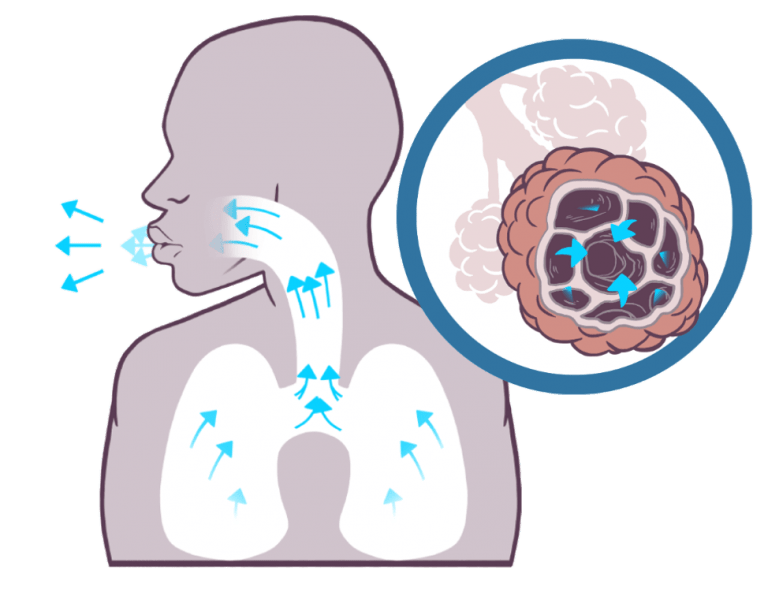 Blue Marble App Emphysema Foundation of America