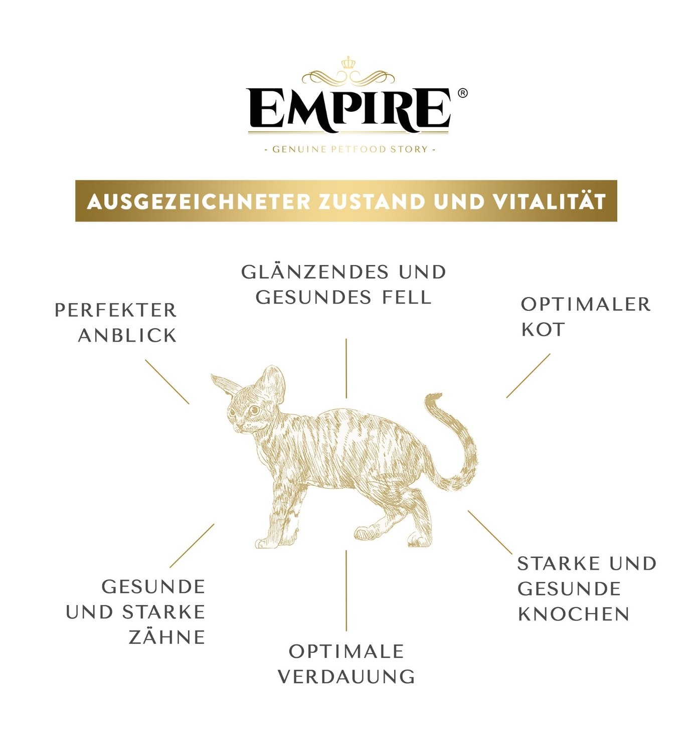 EMPIRE 1,2kg Katzenfutter für Babykatzen Hypoallergen Getreidfrei