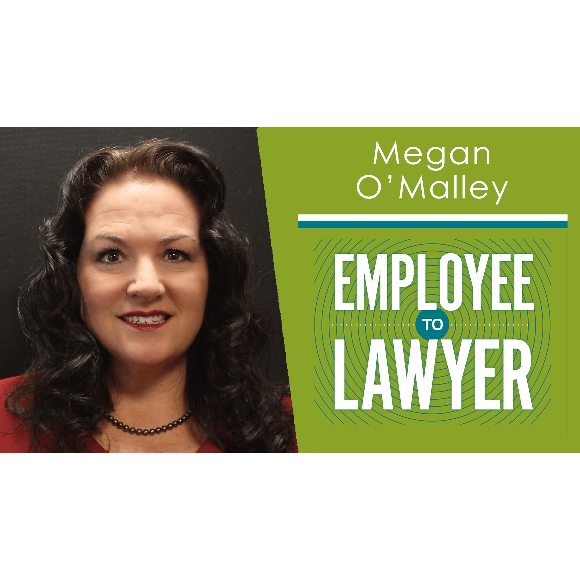 Employee to Lawyer Podcast An Employment Law Podcast By NELA Illinois