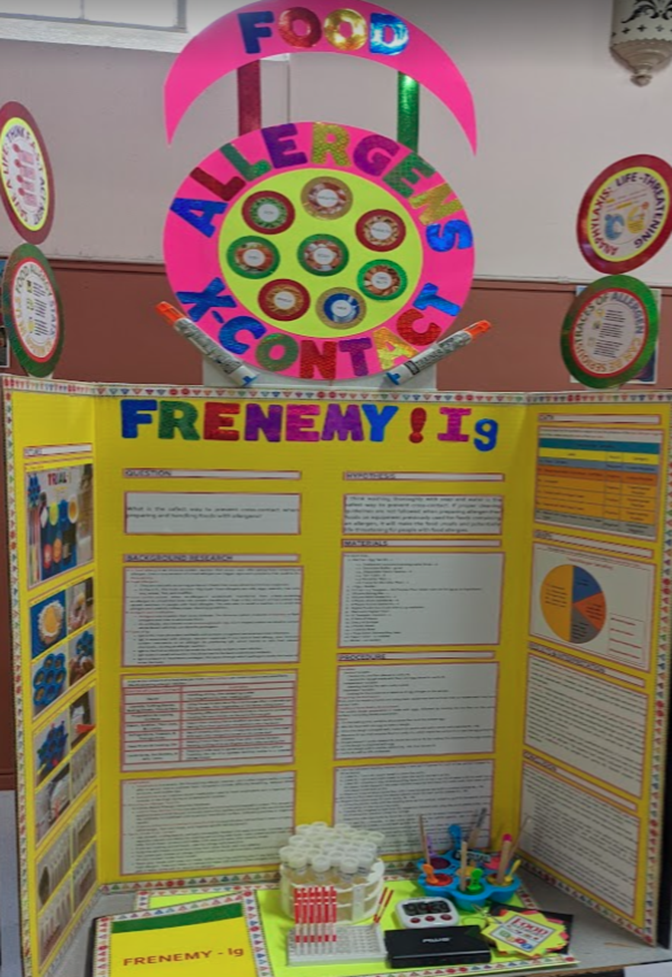 First Place Science Fair Projects Ideas
