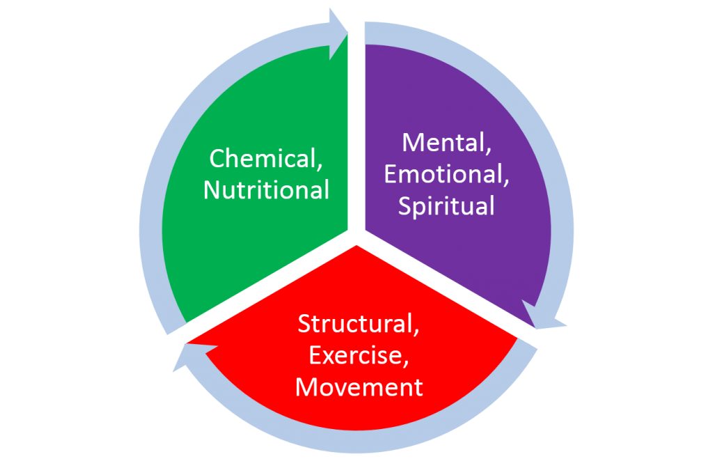 Kinesiology Discovering Bliss Beyond Depression