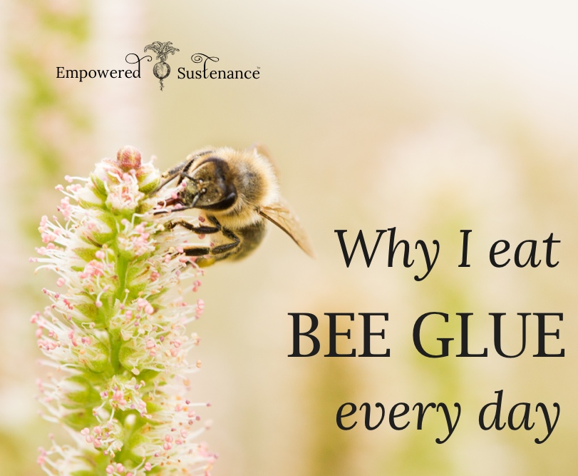 The Benefits of Propolis (Why I eat bee glue!)