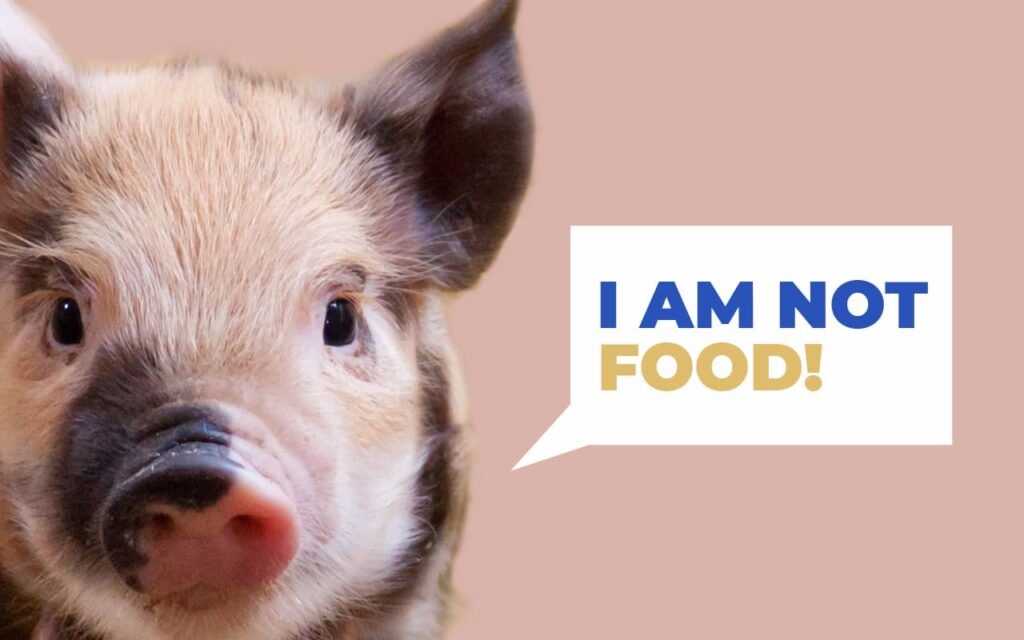Why is pork bad for you? Empower Missions