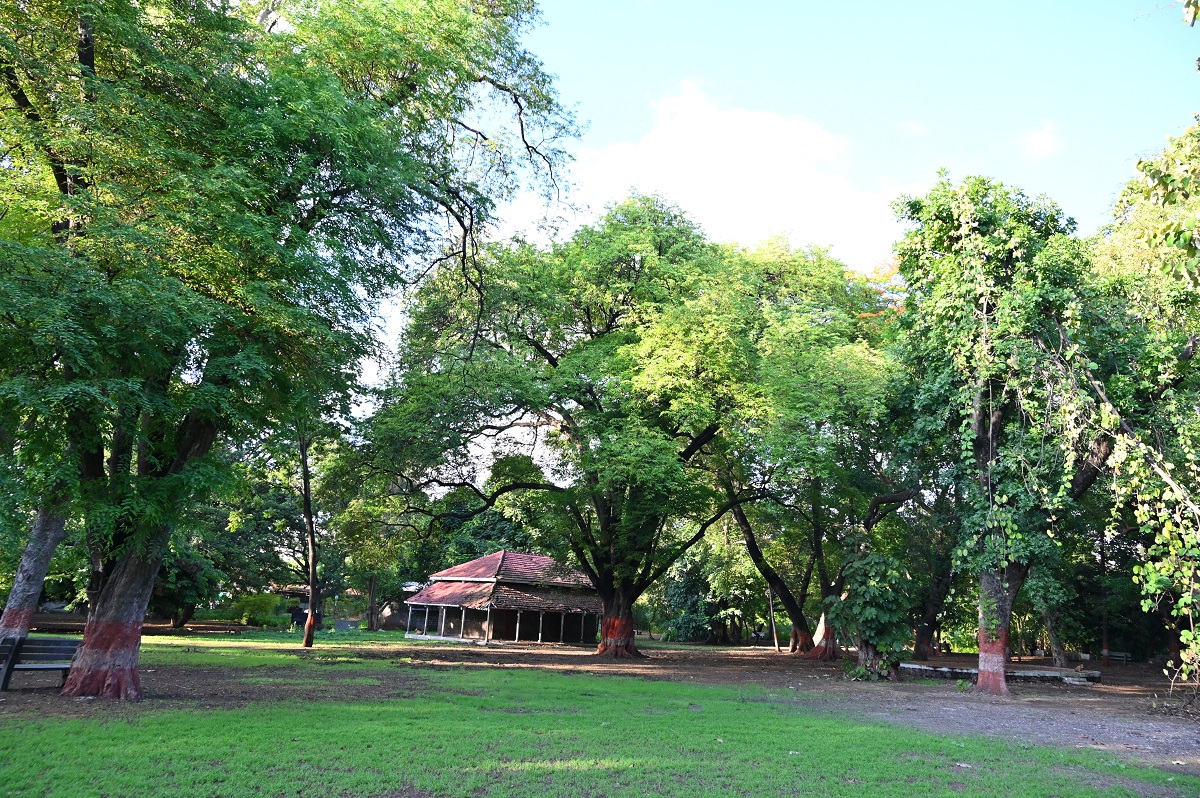 Gallery Empress Garden