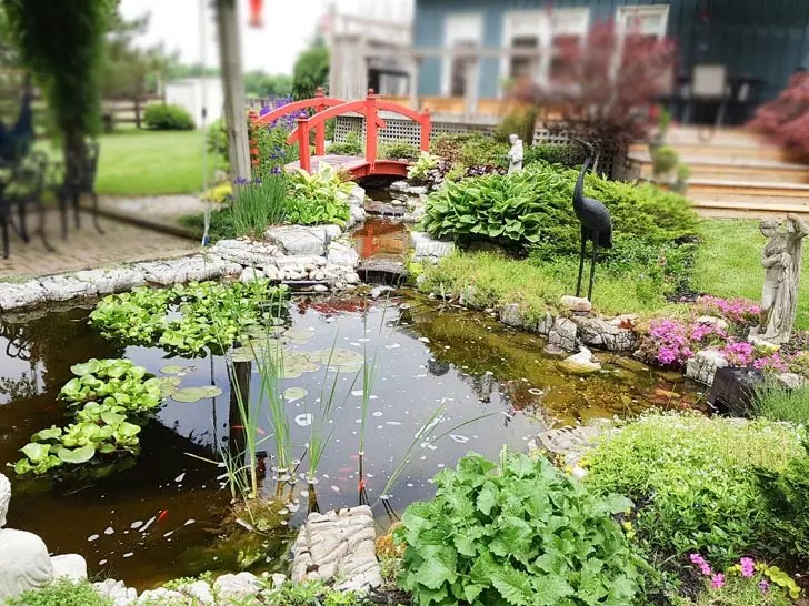 Backyard Ponds With Bridges (Pics From Home Gardens) Empress of Dirt