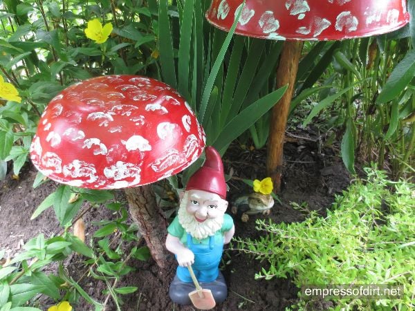 Garden gnome under garden art toadstools.