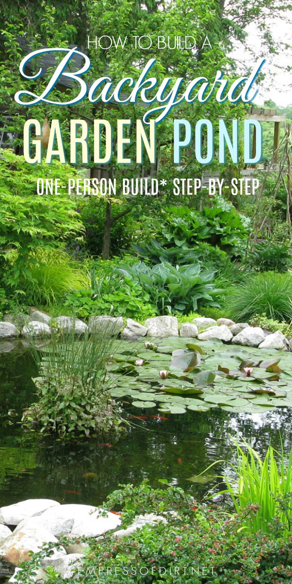 Advice For Starting A New Garden Pond Empress Of Dirt 618