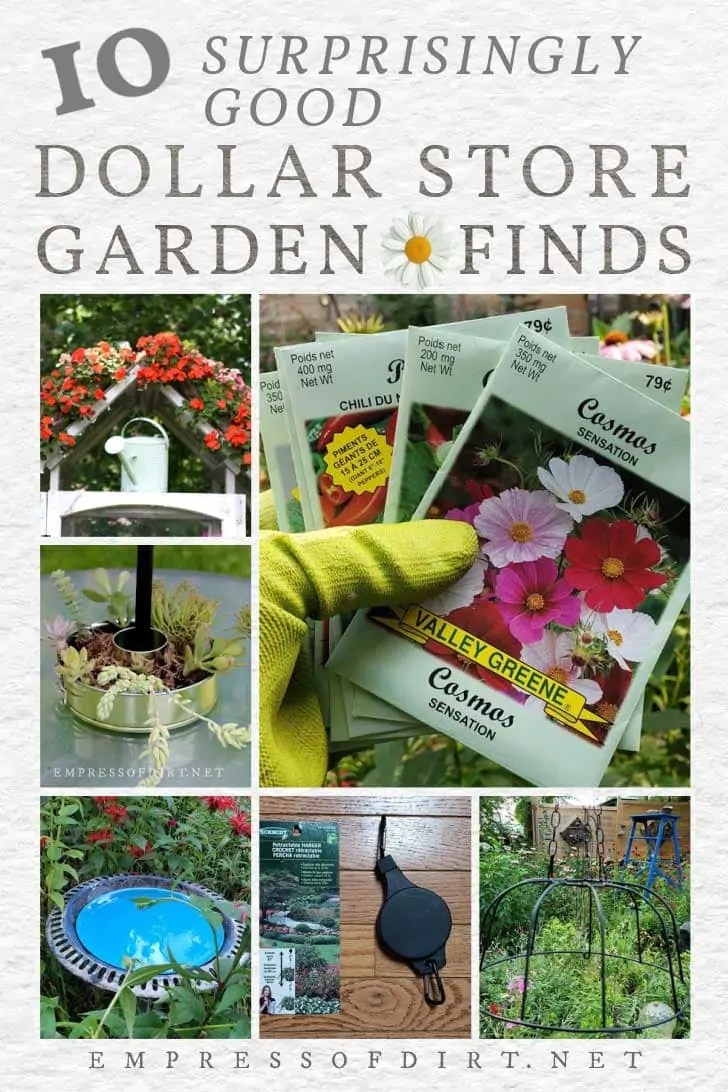 Details 140+ cake boxes dollar tree latest in.eteachers