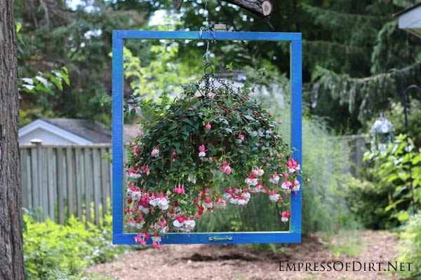 Fuchsia planter hanging in picture frame in garden.