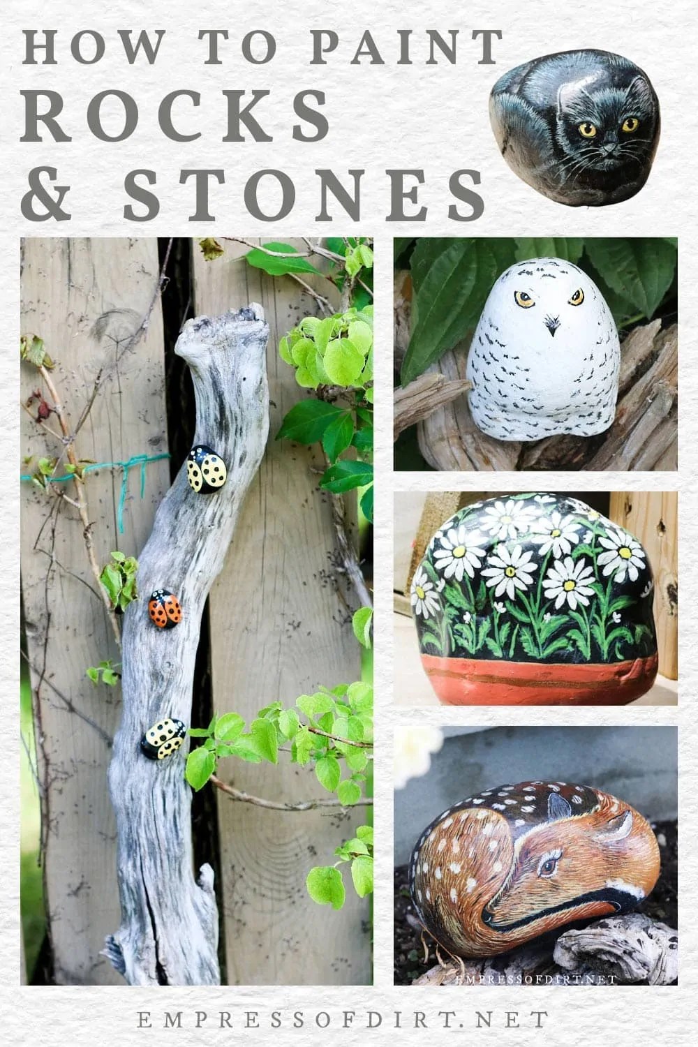 How to HandPaint Rocks and Stones — Empress of Dirt