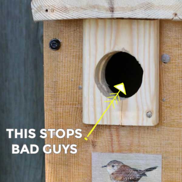 Block on nesting box to prevent predators from entering.