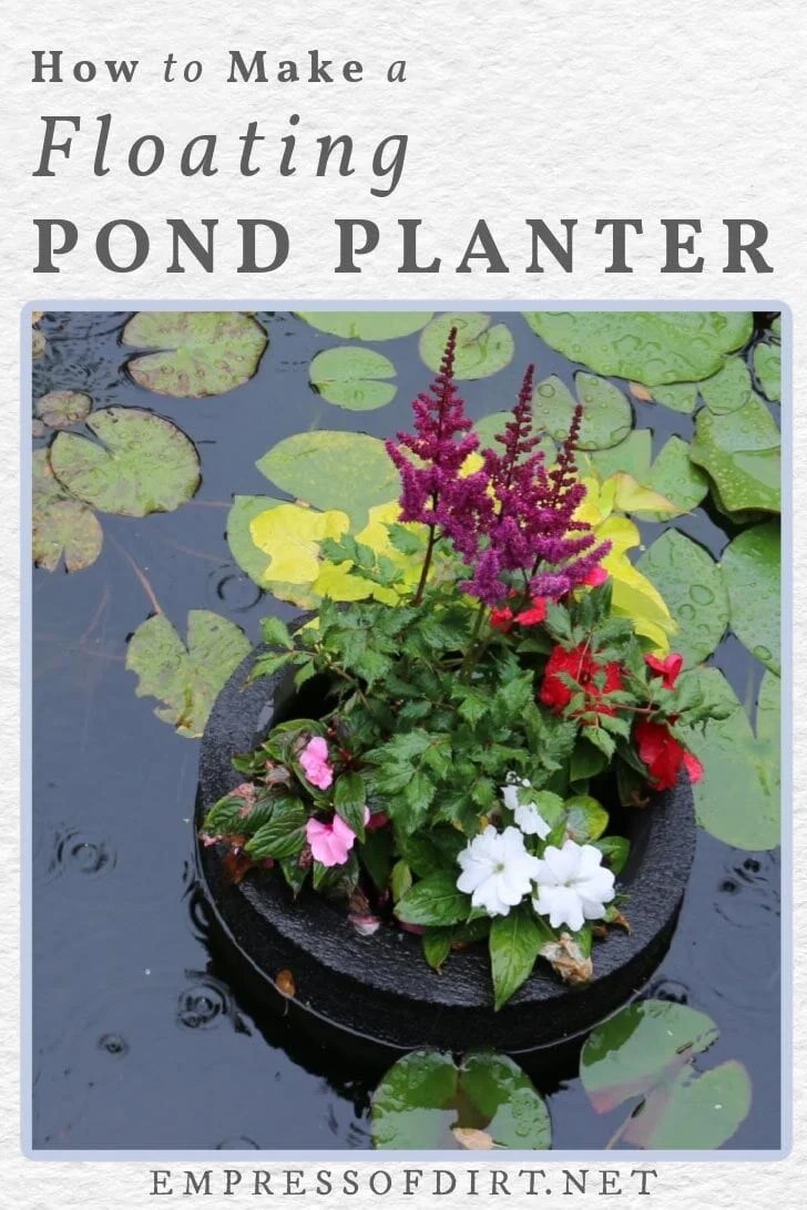 How to Make a Floating Pond Planter Empress of Dirt