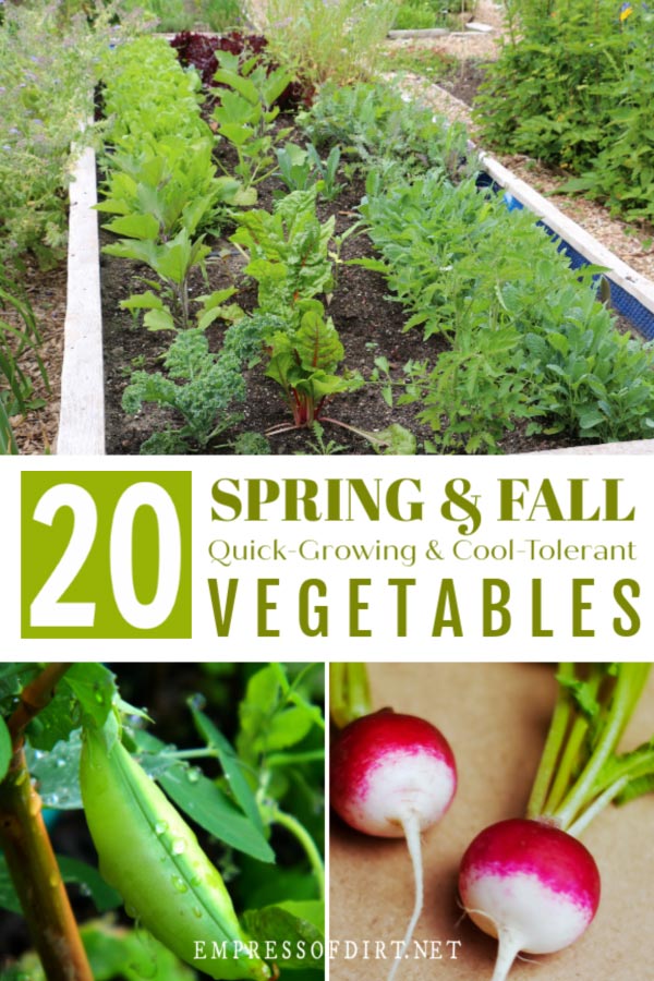 20 FastGrowing Vegetables (Spring or Fall) Empress of Dirt