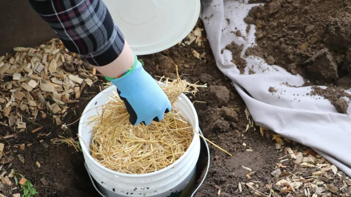 How to Make a Worm Tower (InGround Composter) — Empress of Dirt