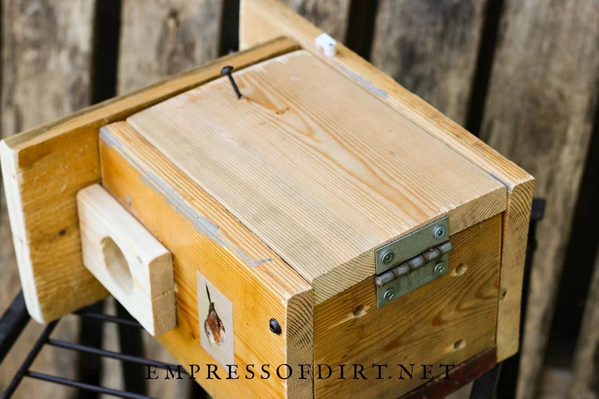 Hinged side on wren nesting box.