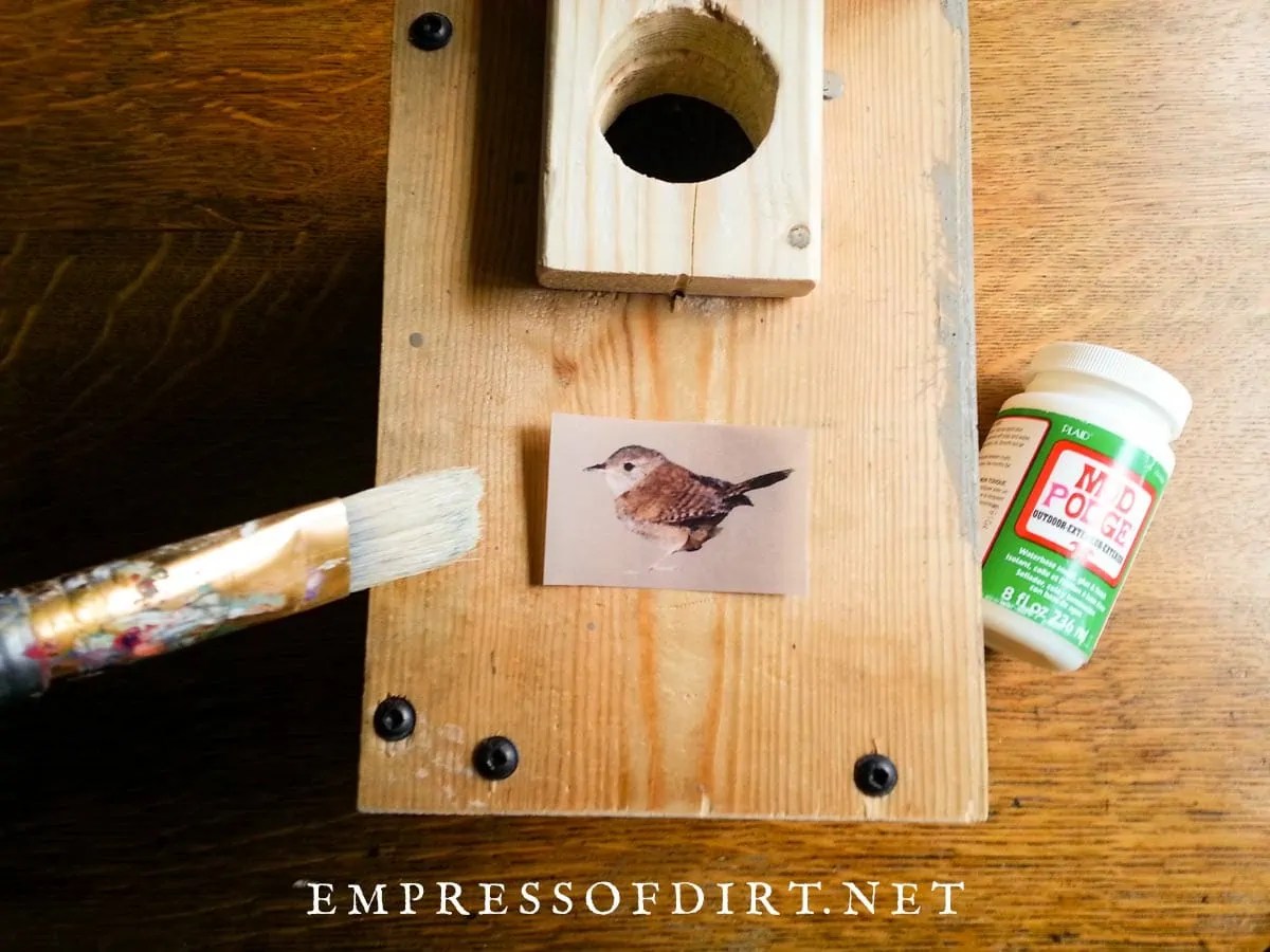 Make a House Wren Nesting Box (Free Plans)