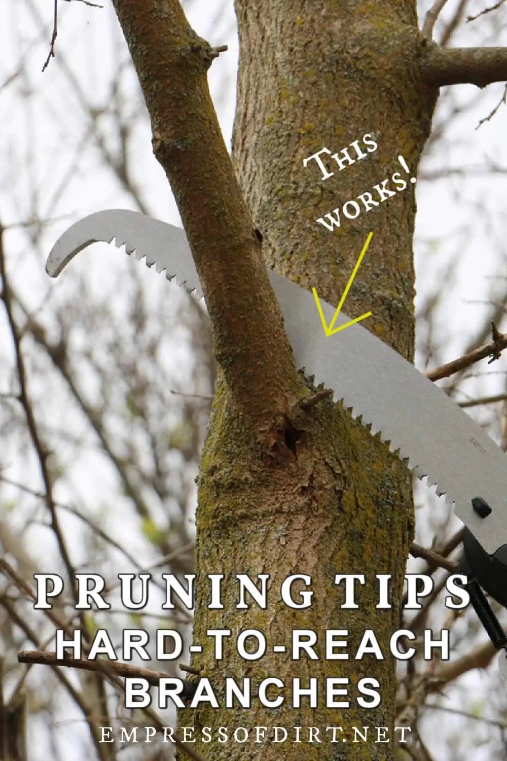 How to Safely Prune HardtoReach Tree Branches — Empress of Dirt
