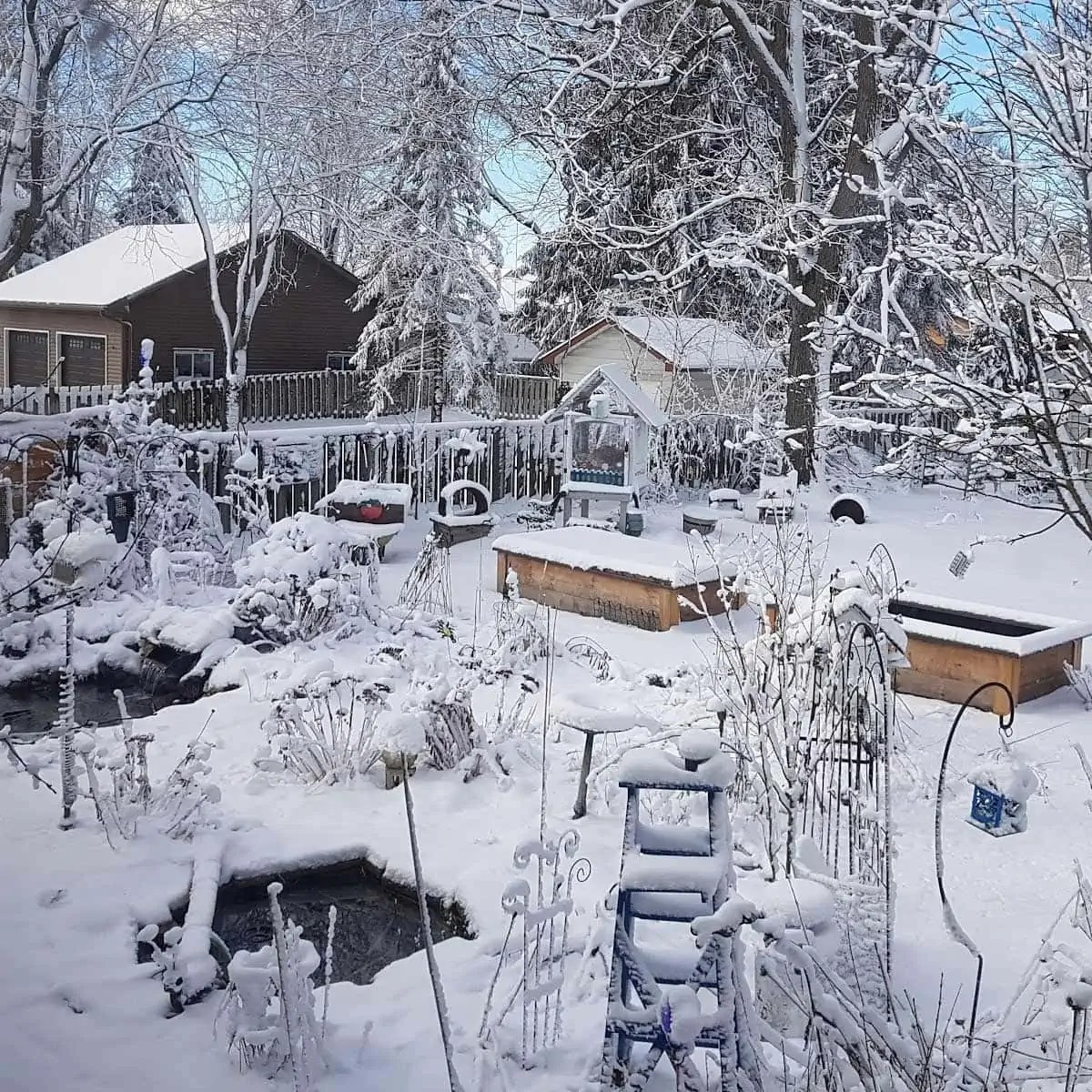 How to Winterize Your Fish Pond (6 Timely Tips)