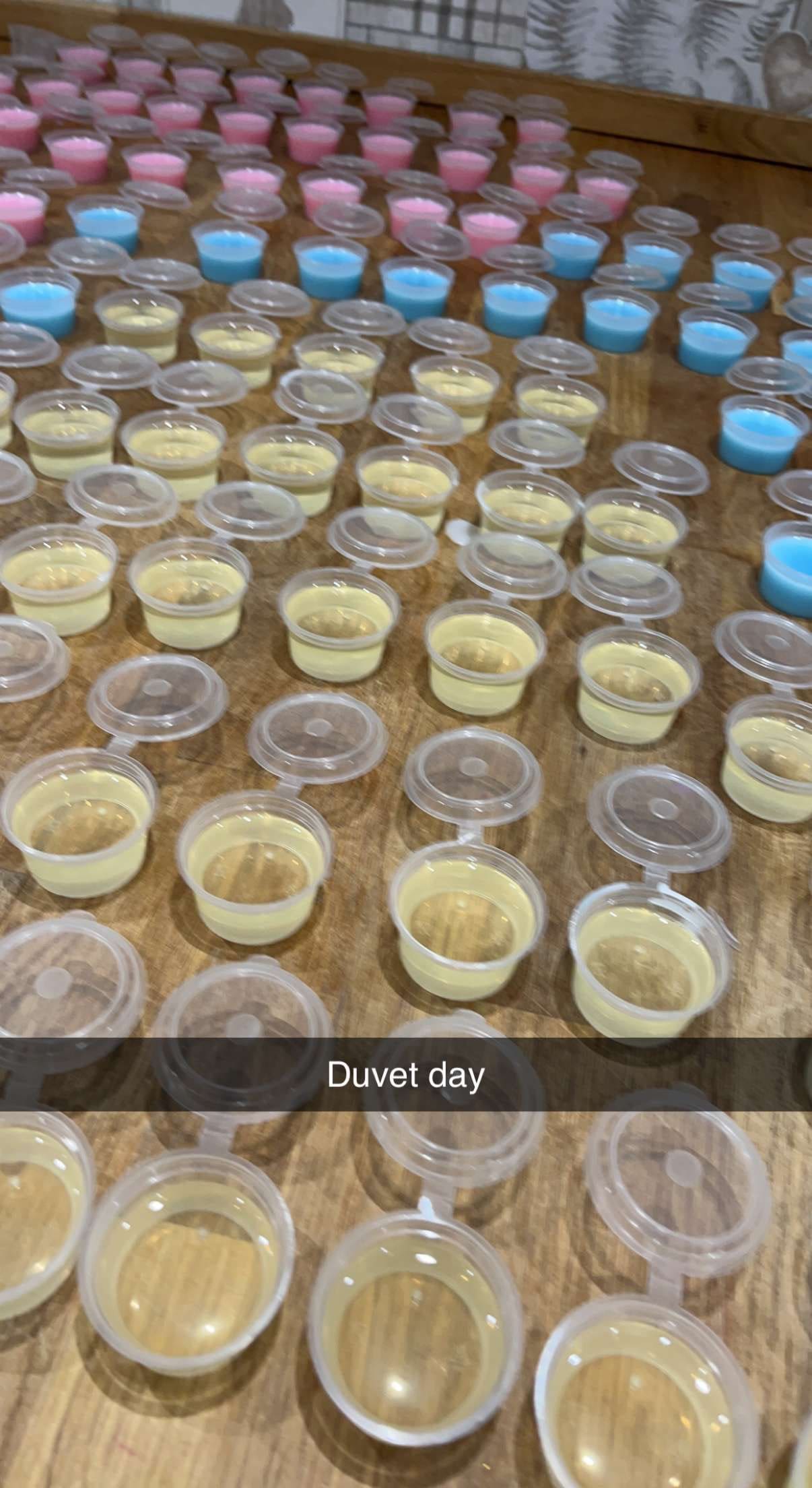 1oz 25g Soy Wax Melt Shot Pot over 100 Scents Empress Wax