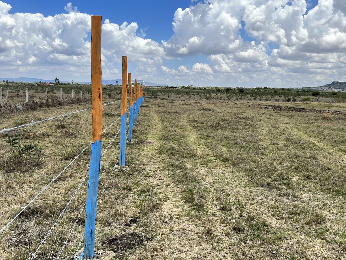 Kantafu Prestige E.M. Prime Lands