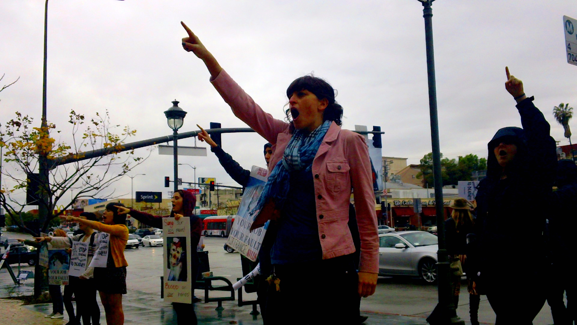 Photos Empty Cages Los Angeles