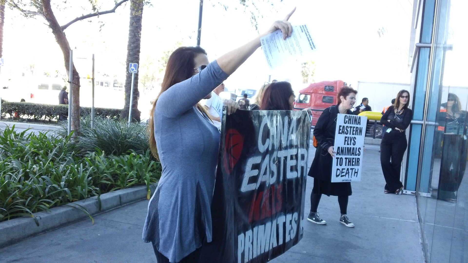 Photos Empty Cages Los Angeles