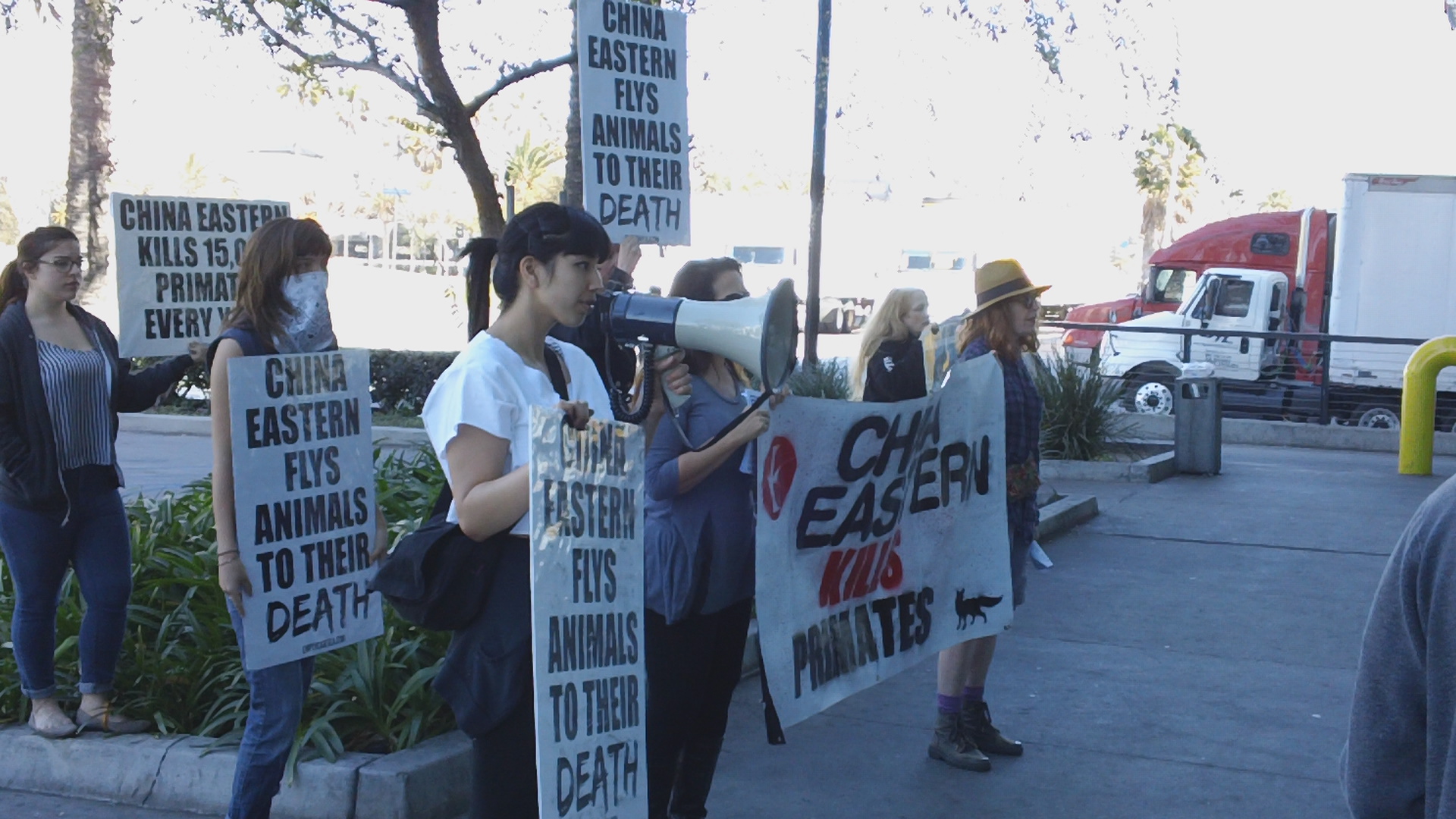 Photos Empty Cages Los Angeles