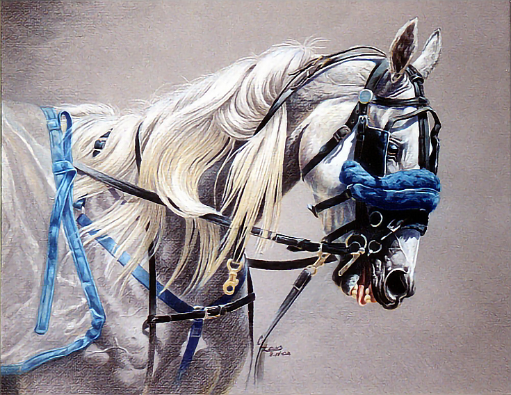 Fast & Easy Background Options for Colored Pencil Drawings