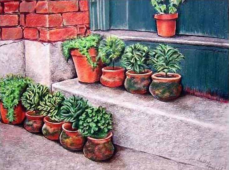 Sally Franklin Colorful, Detailed Illustrations and Watercolors