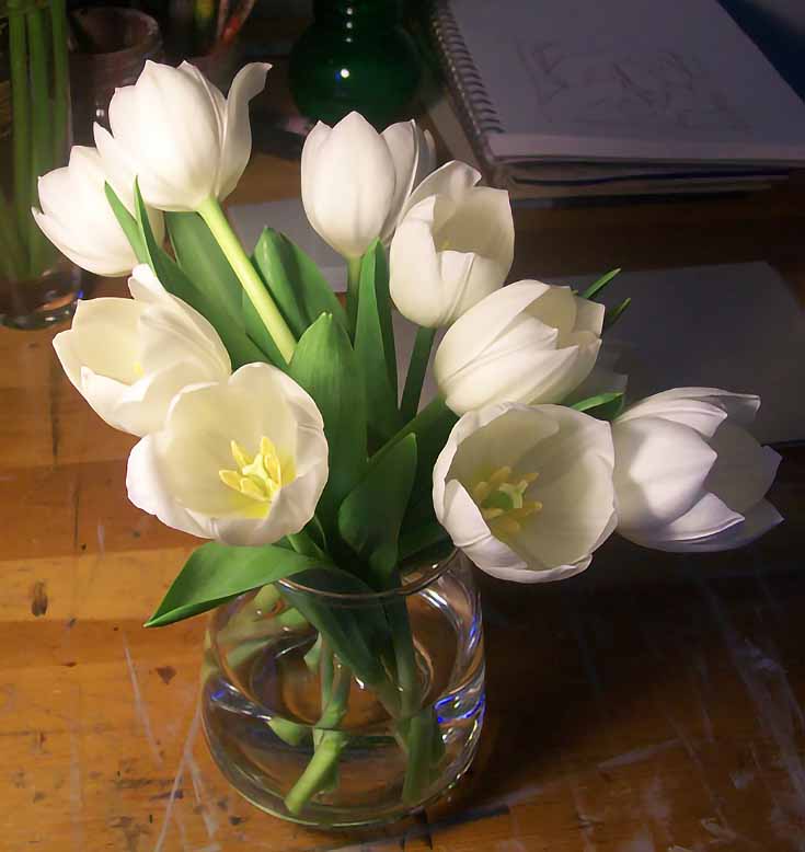 How to Paint White Tulips in Oil
