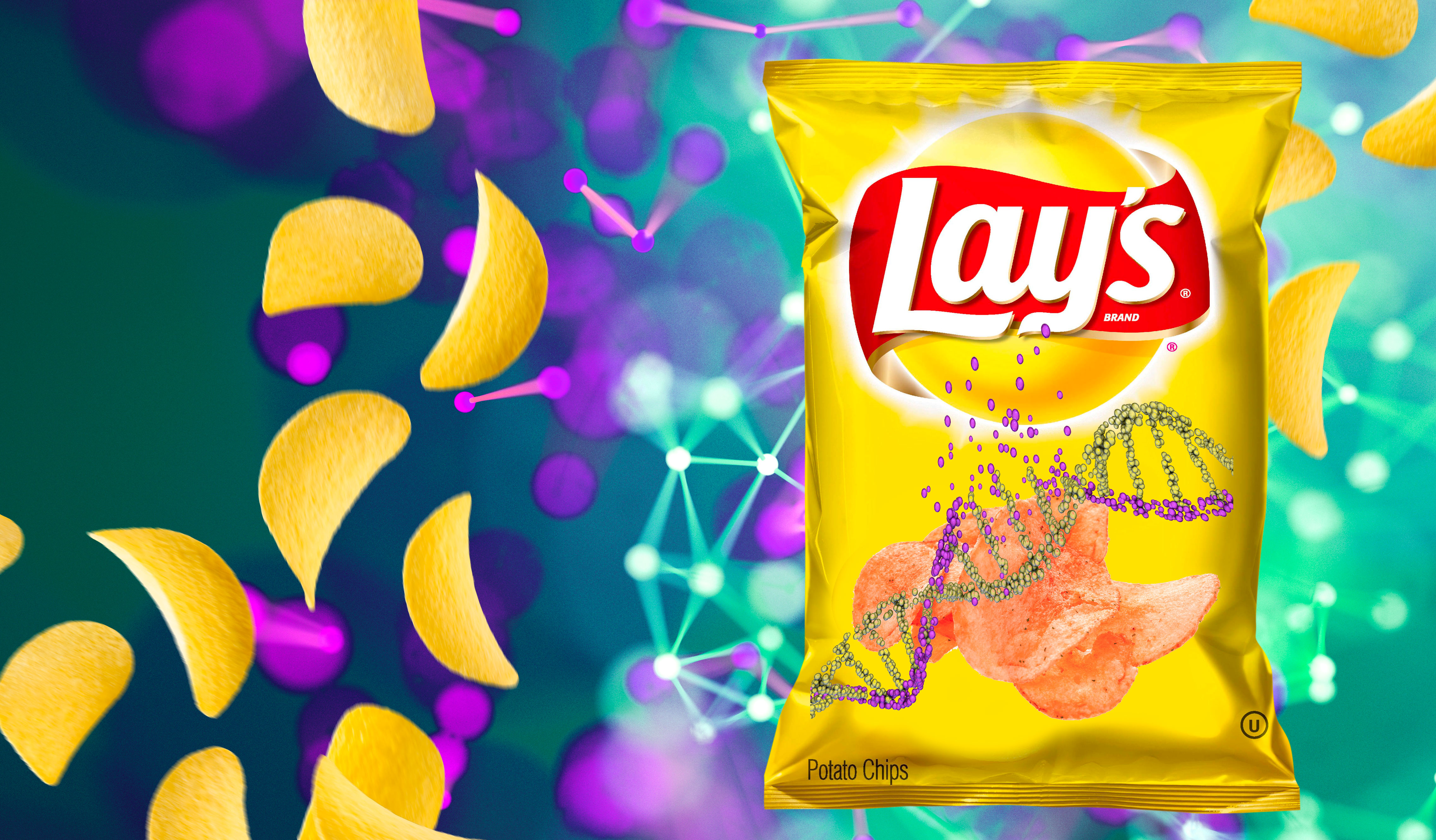 Lay’s presenta sus nuevas patatas fritas «sabor químico guay» El Mundo Today