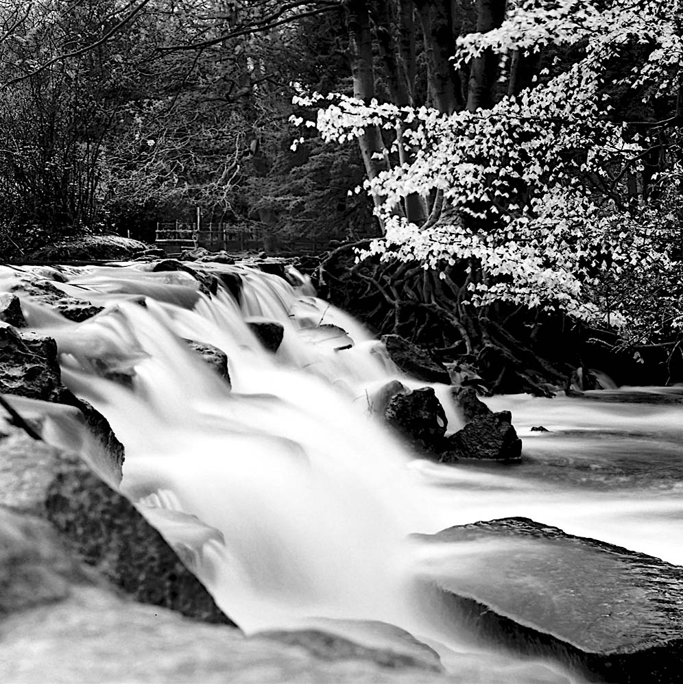 Exposure decrease to preserve highlight detail - Using Sunny 16 and the Zone System at the same time