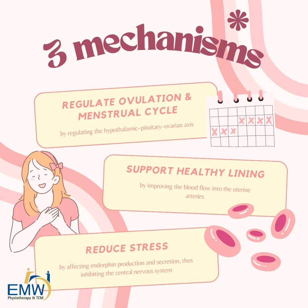 Acupuncture for Fertility in Singapore EMW Physiotherapy & TCM