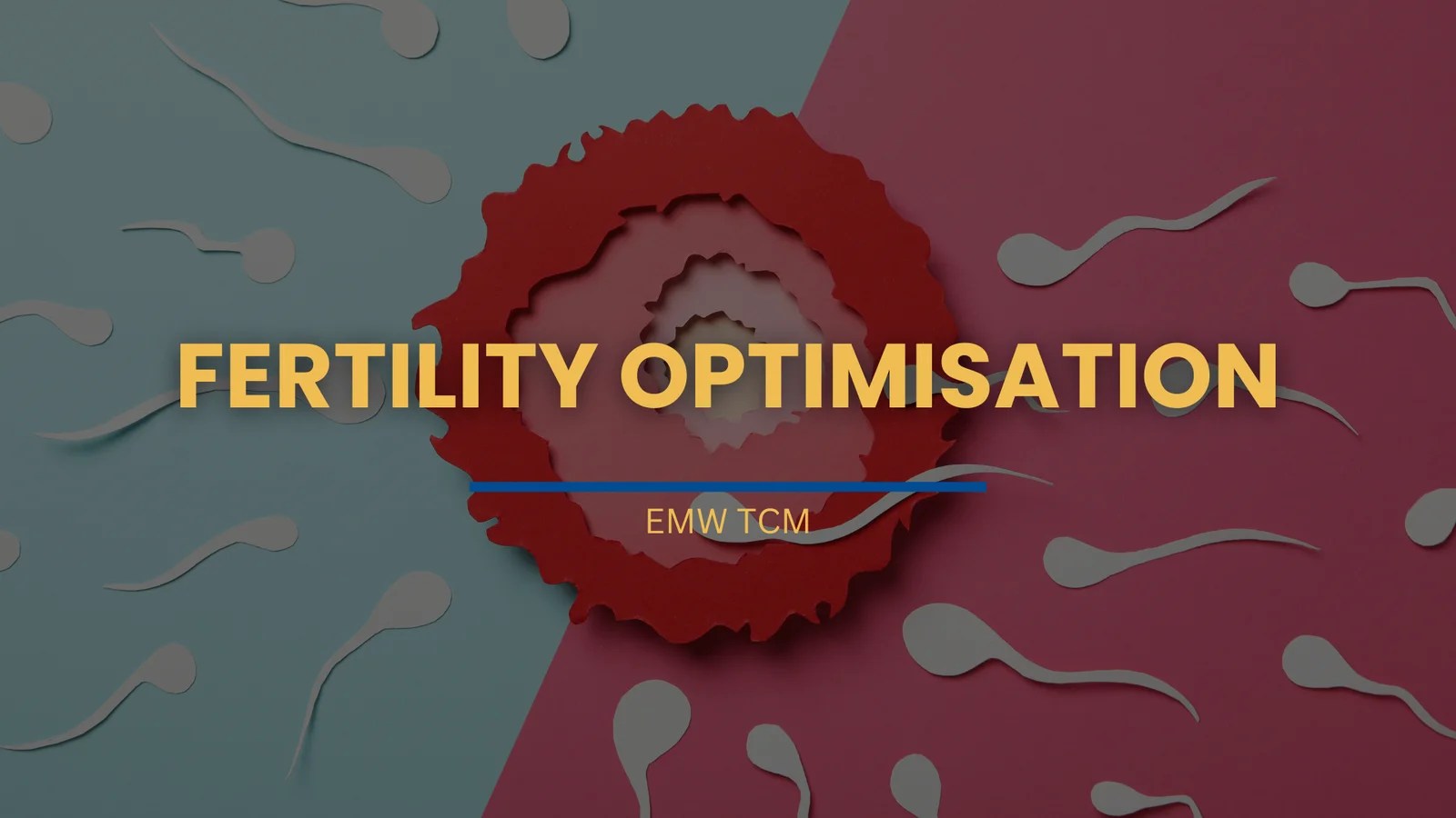 TCM Fertility Treatment in Singapore EMW TCM