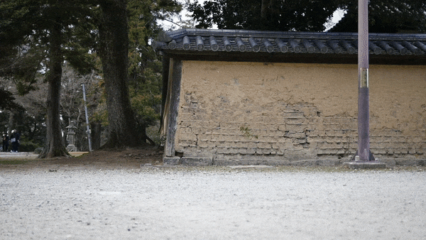 Deer Eating Popcorn Gif