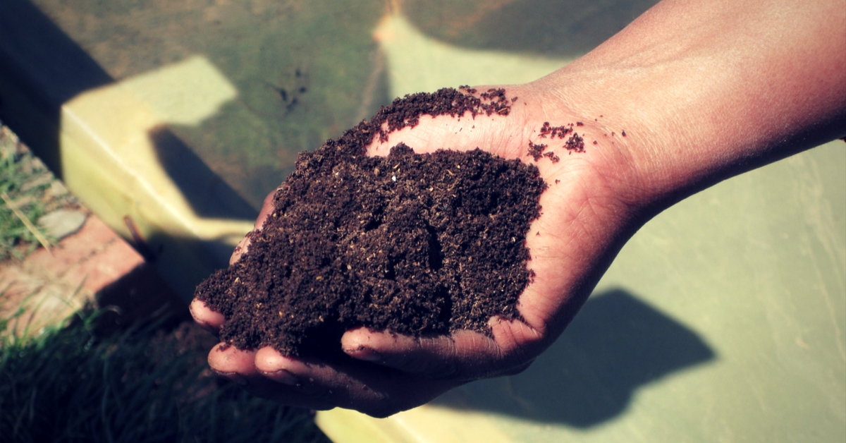 Compost From Bengaluru's Wet Waste Bring Relief to Farmers