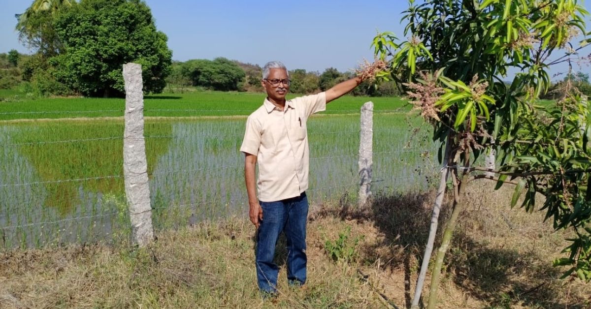 Farmer Helps 400 Acres of 'Uncultivable' Alkaline Land Transform