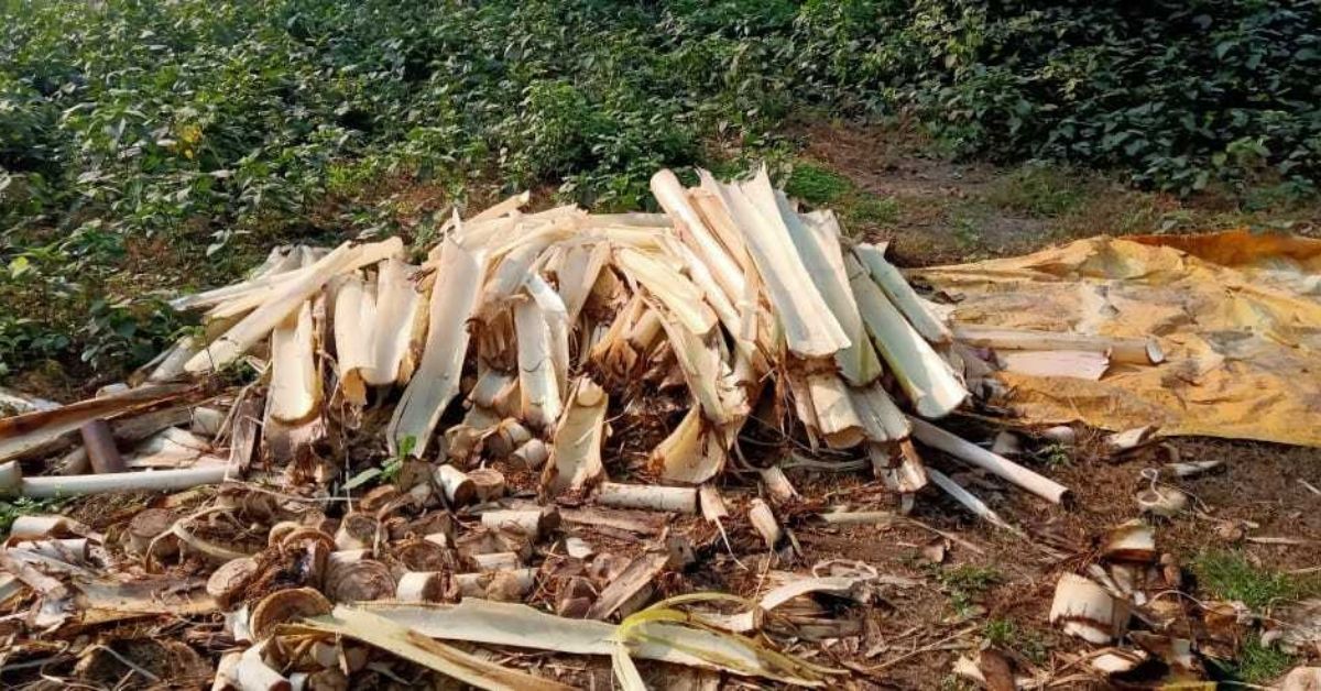 Banana Waste Into Fibre How I Earn Rs 9 Lakh & Empower 450 Women