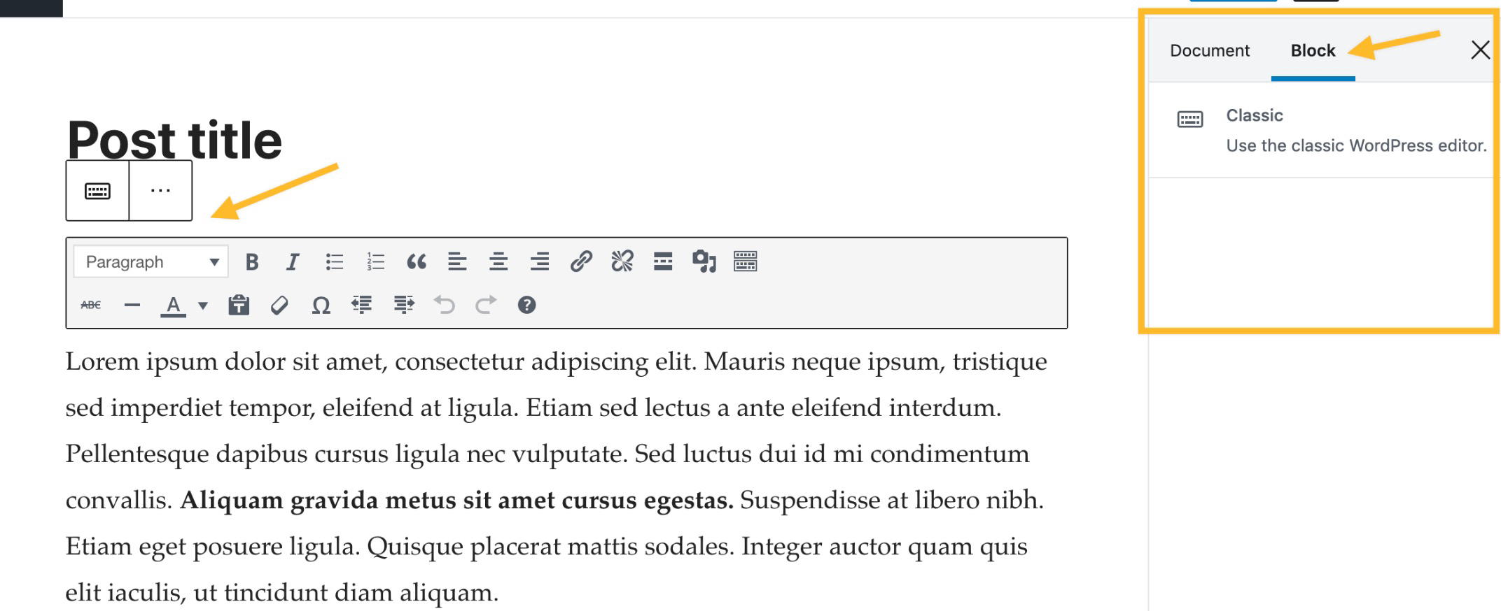 Convert from the Classic to the Block Editor Support