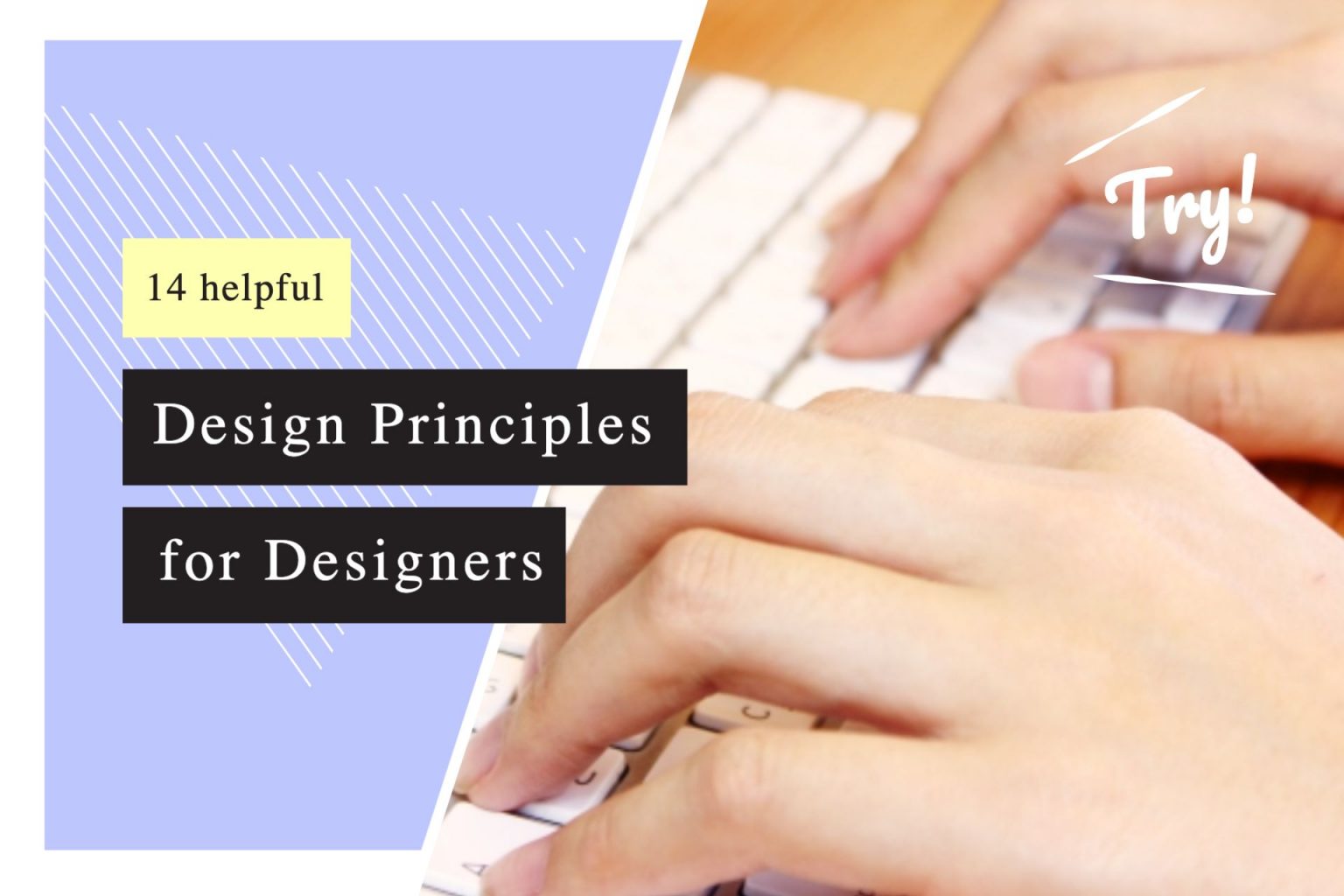 13+ best design principles designers must know